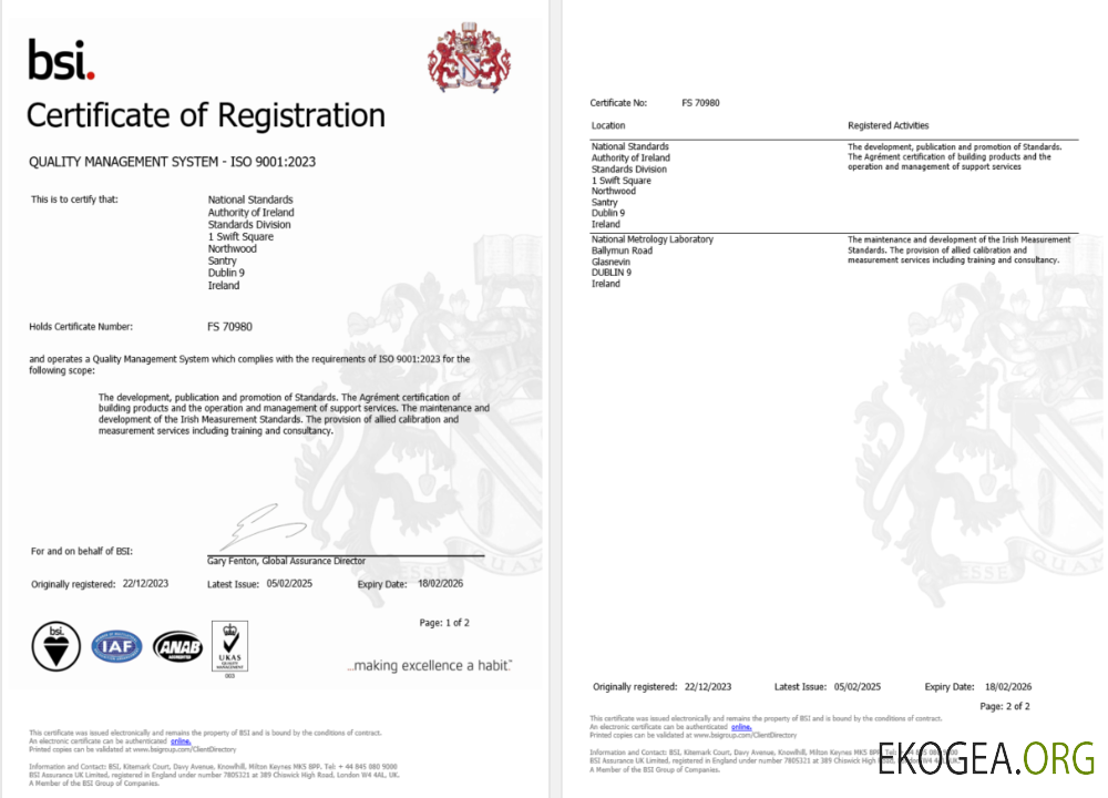 Irlande Dublin Certificat d'enregistrement BSI Modèle Word et PDF